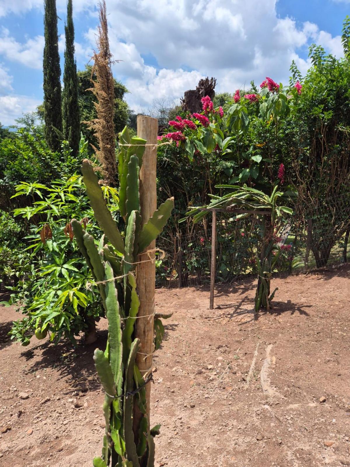 Pousada Verde Villas Brumadinho Exterior foto